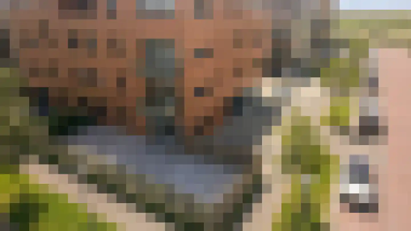 Francisco Pizarrostraat 104 Almere thumbnail 61