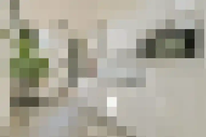 Francisco Pizarrostraat 122 Almere thumbnail 8
