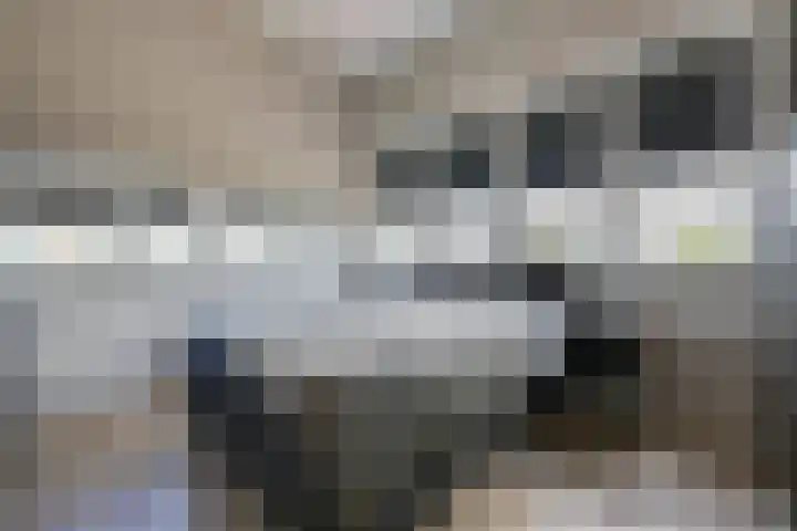 Francisco Pizarrostraat 128 Almere thumbnail 32