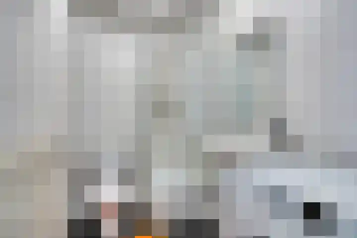 Franciscus Romanusweg 65 C Maastricht thumbnail 11
