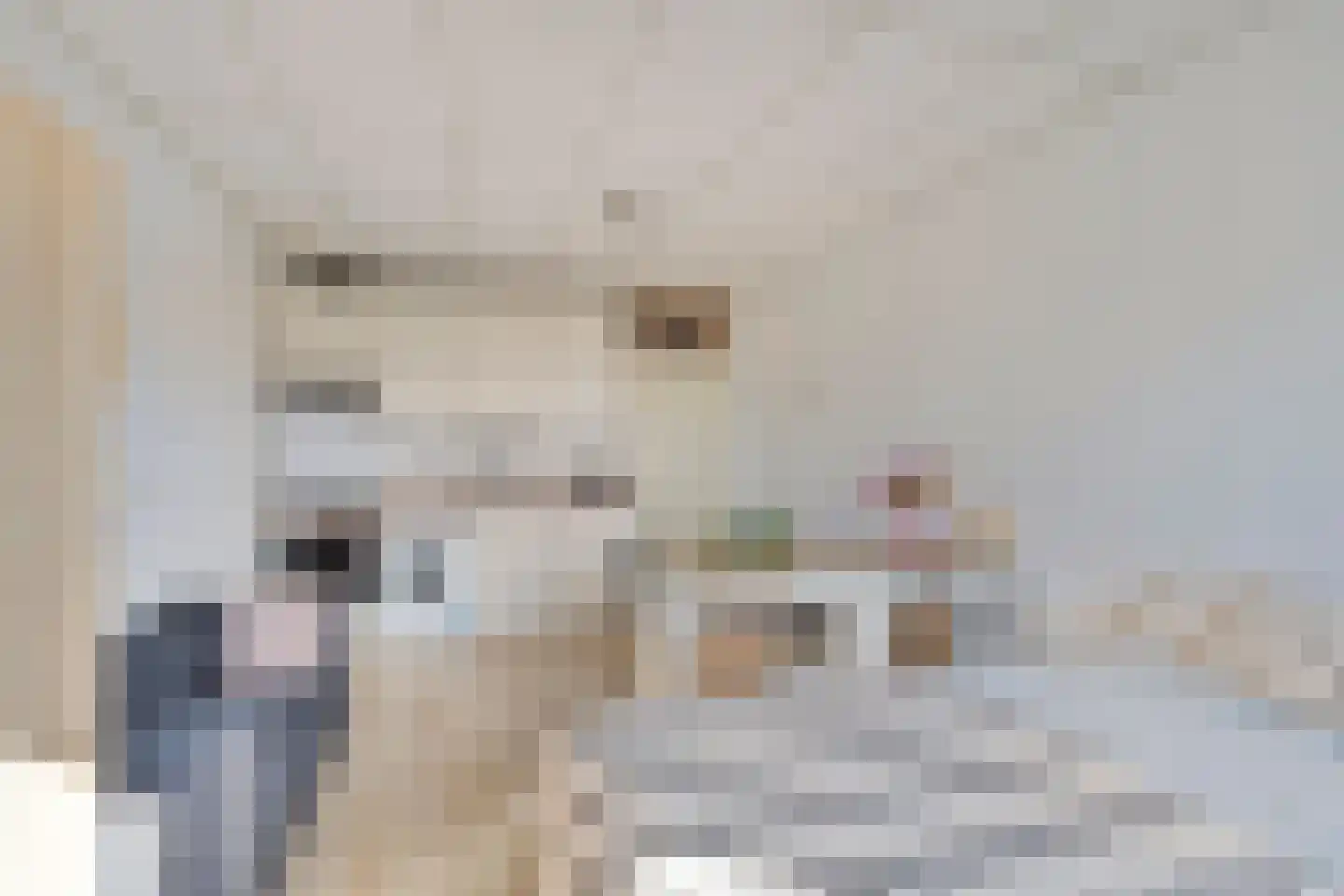 Franciscus Romanusweg 68 C Maastricht thumbnail 8