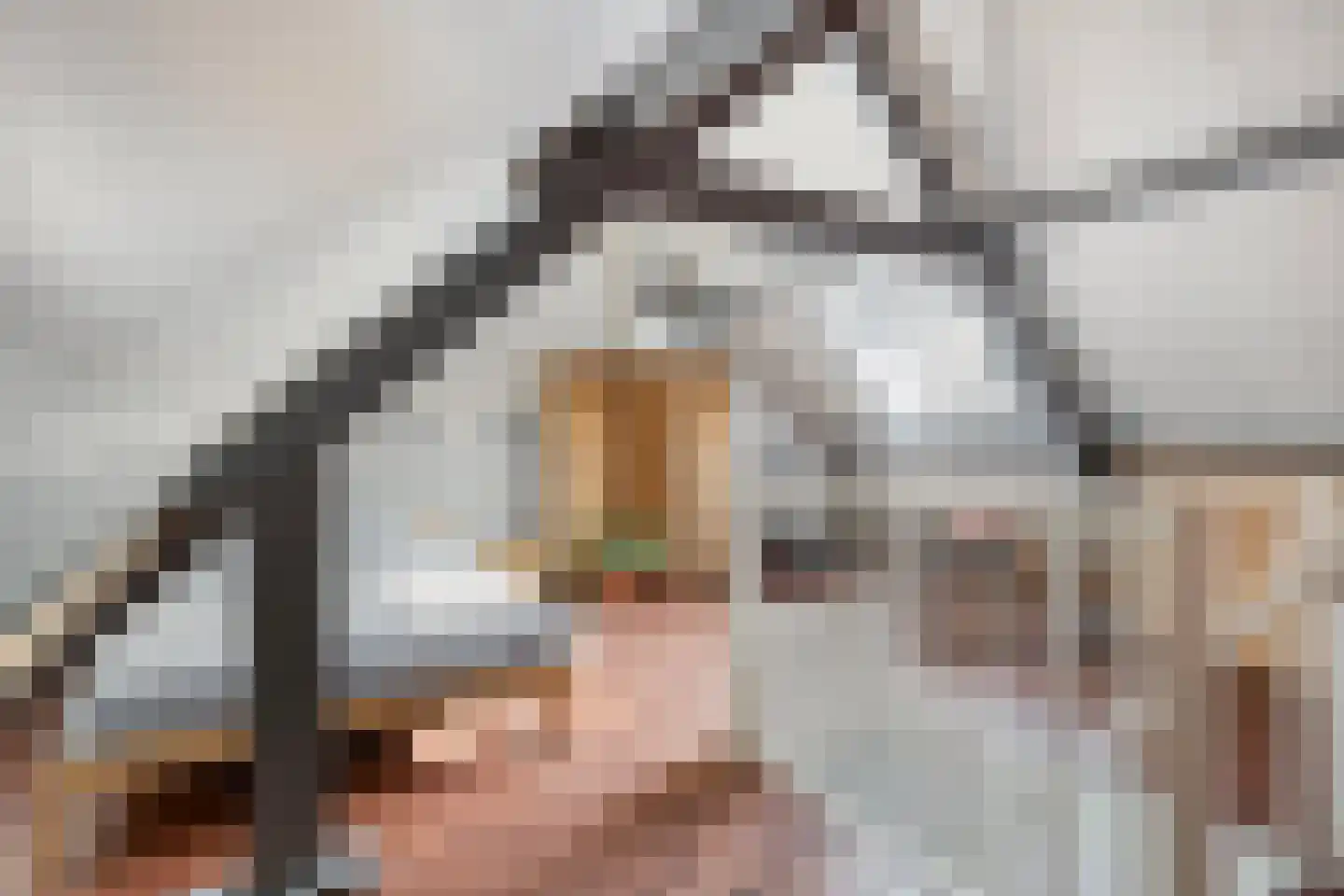 Franciscus Sonniusstraat 14 Eindhoven thumbnail 37
