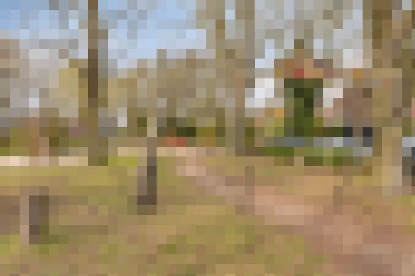 Franciscus Sonniusstraat 14 Eindhoven thumbnail 50
