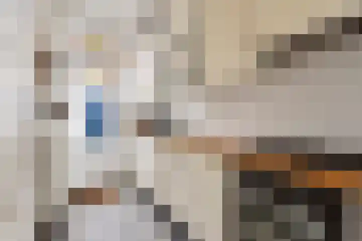 Franciscus Sonniusstraat 5 Eindhoven thumbnail 12