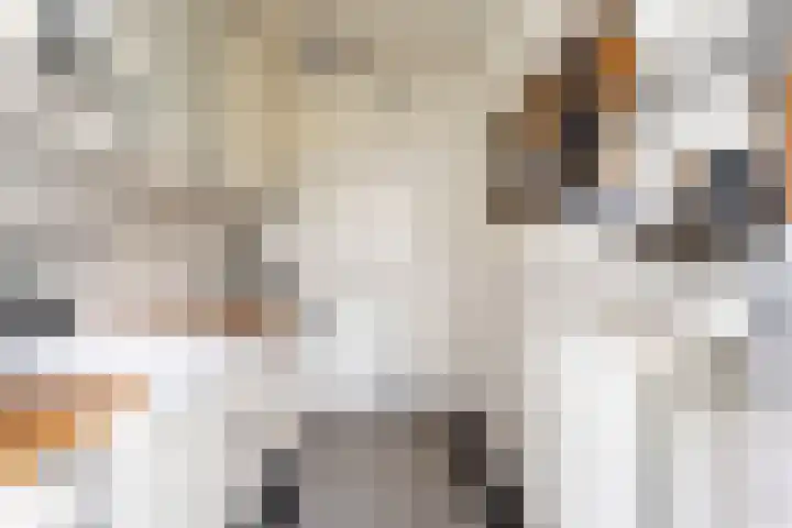 Franciscus Sonniusstraat 5 Eindhoven thumbnail 13