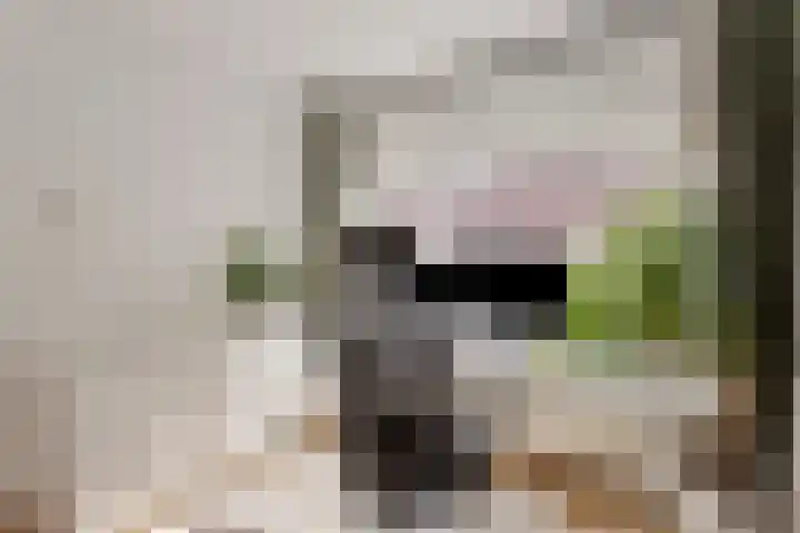 Franciscus Sonniusstraat 5 Eindhoven thumbnail 21