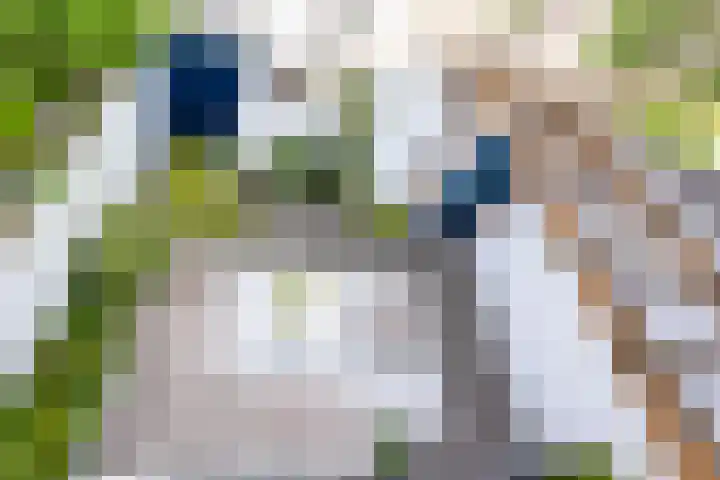 Franciscus Sonniusstraat 5 Eindhoven thumbnail 30