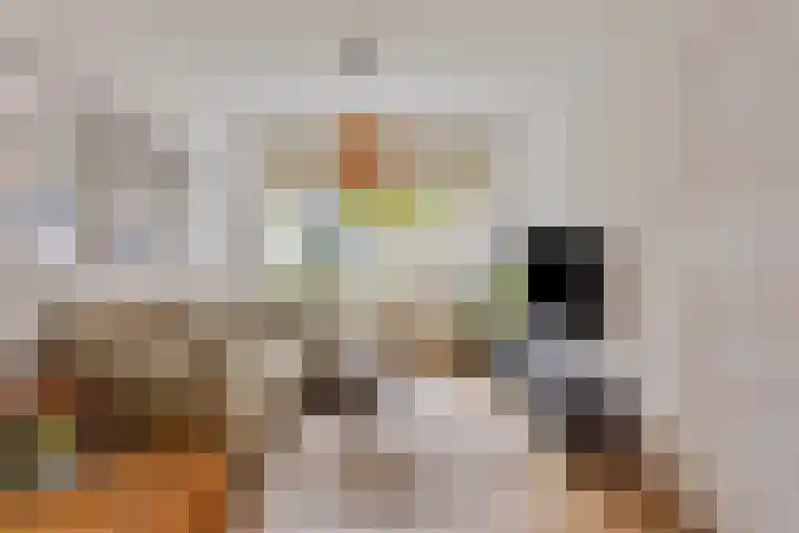 Franciscus Sonniusstraat 5 Eindhoven thumbnail 9