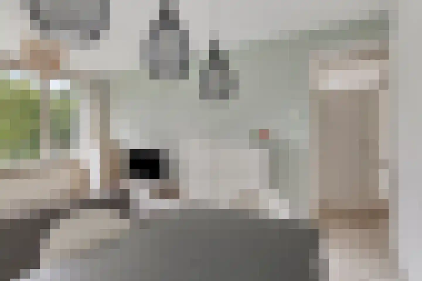Franciscus van Assisiëlaan 1 Amstelveen thumbnail 10