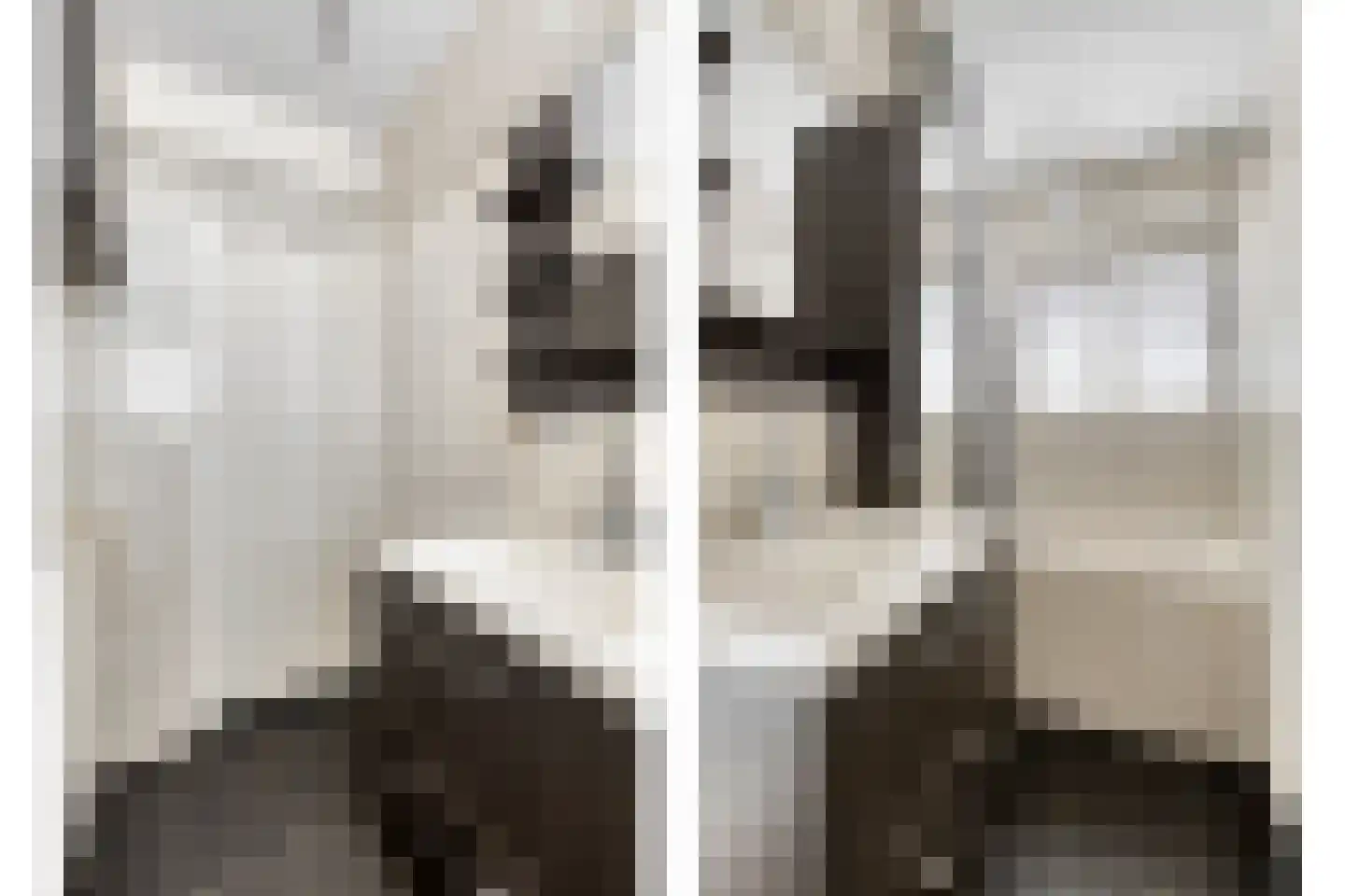 Franciscus van Assisiëlaan 1 Amstelveen thumbnail 15