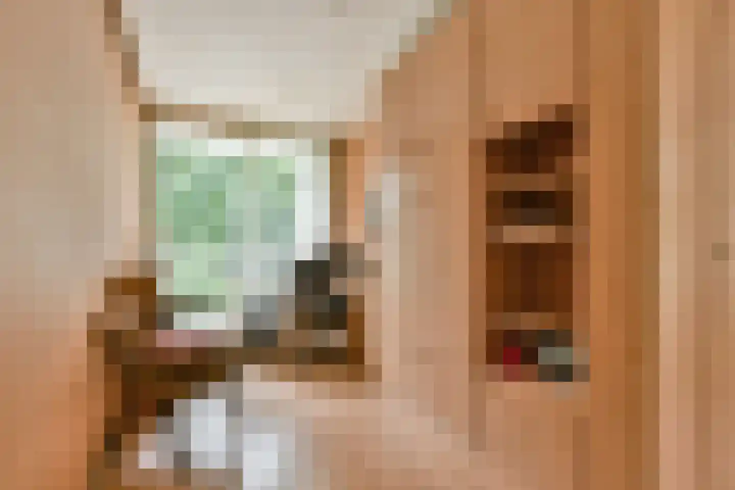 Franciscus van Assisiëlaan 15 Amstelveen thumbnail 14