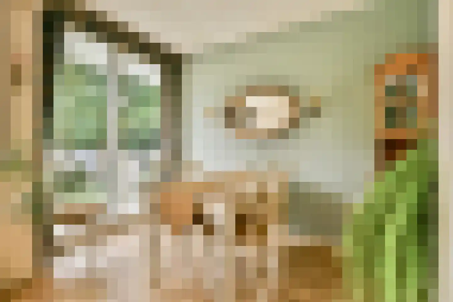 Franciscus van Assisiëlaan 15 Amstelveen thumbnail 5