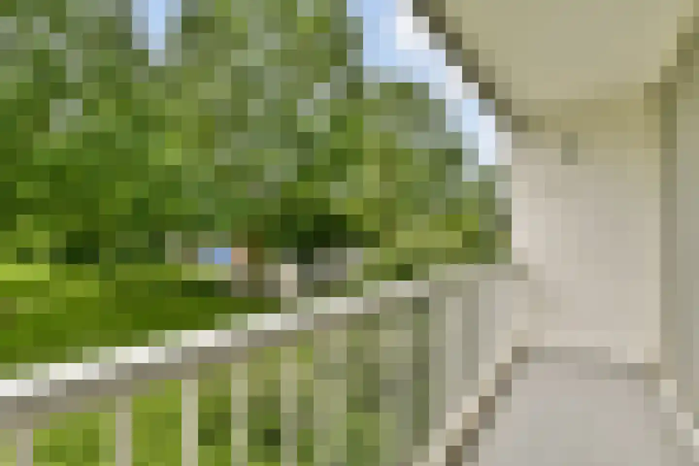 Franciscus van Assisiëlaan 15 Amstelveen thumbnail 9