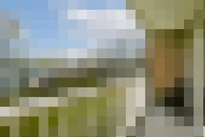 Franciscus van Assisiëlaan 35 Amstelveen thumbnail 12