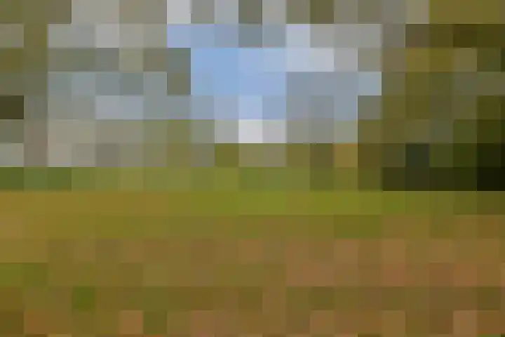 Franciscus van Assisiëlaan 35 Amstelveen thumbnail 26