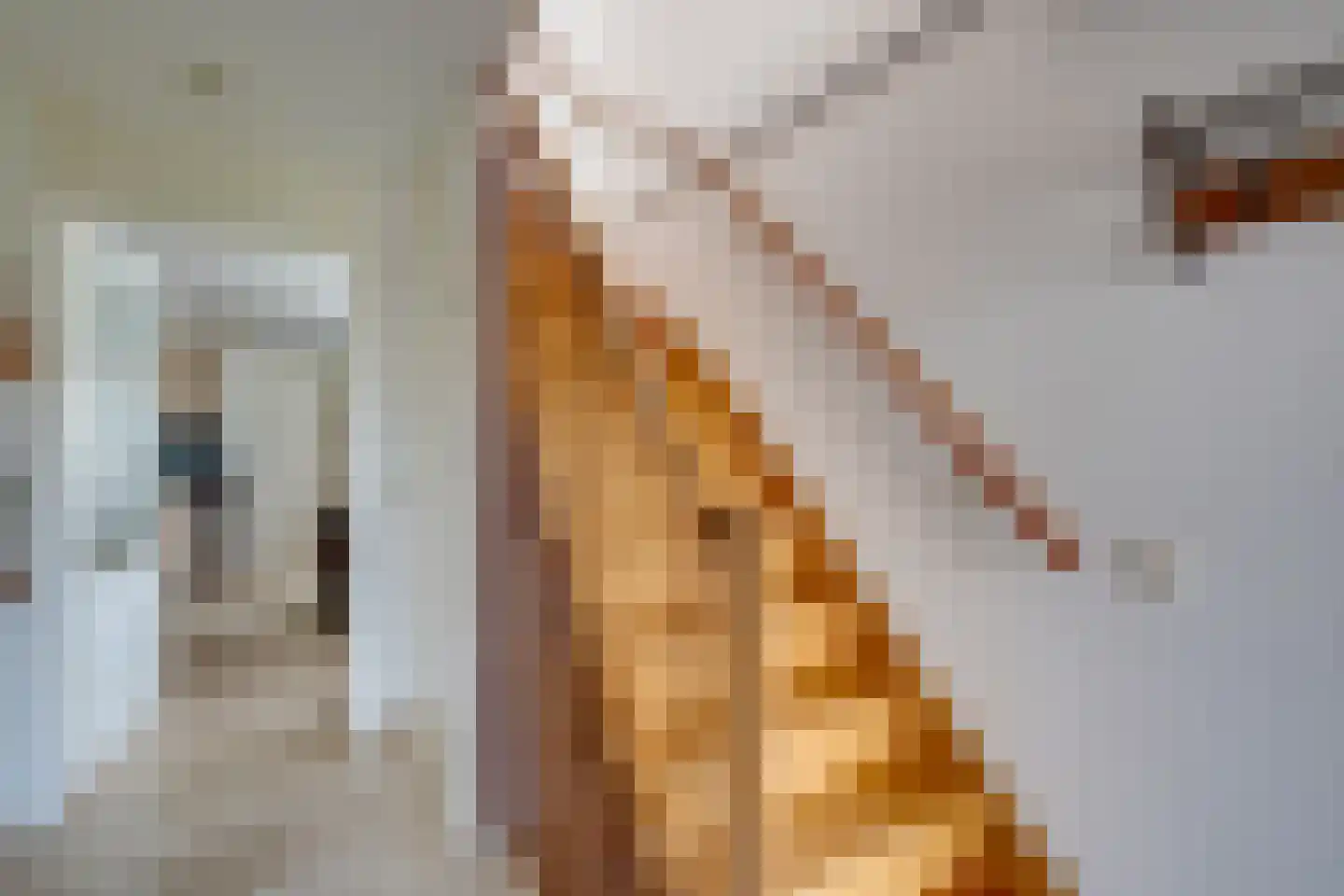 Franciscus van Sales hof 14 Goirle thumbnail 17