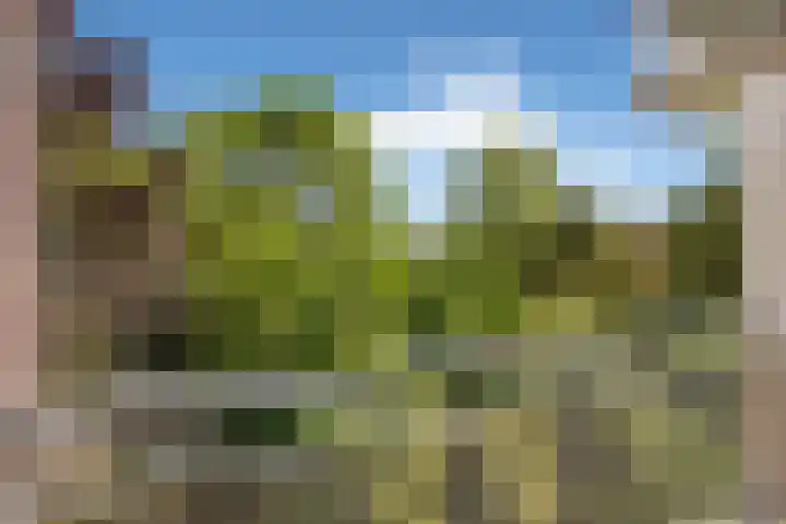 Franciscusberg 56 Bergen op Zoom thumbnail 24