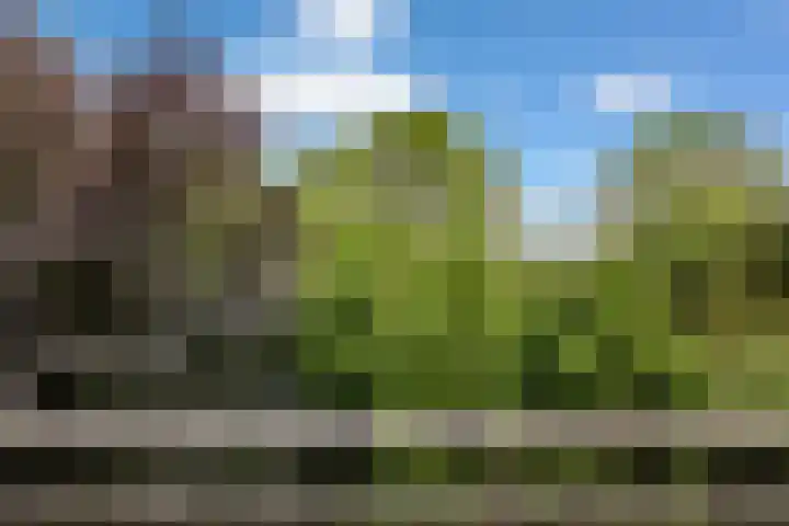 Franciscusberg 56 Bergen op Zoom thumbnail 27