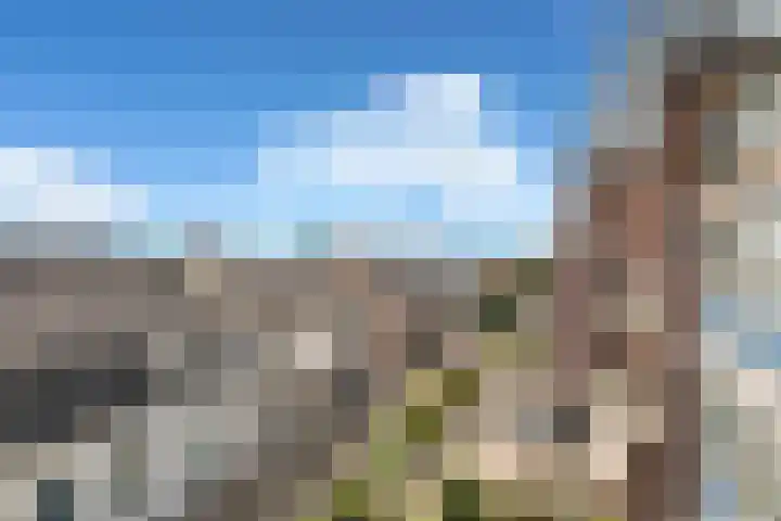 Franciscusberg 56 Bergen op Zoom thumbnail 30