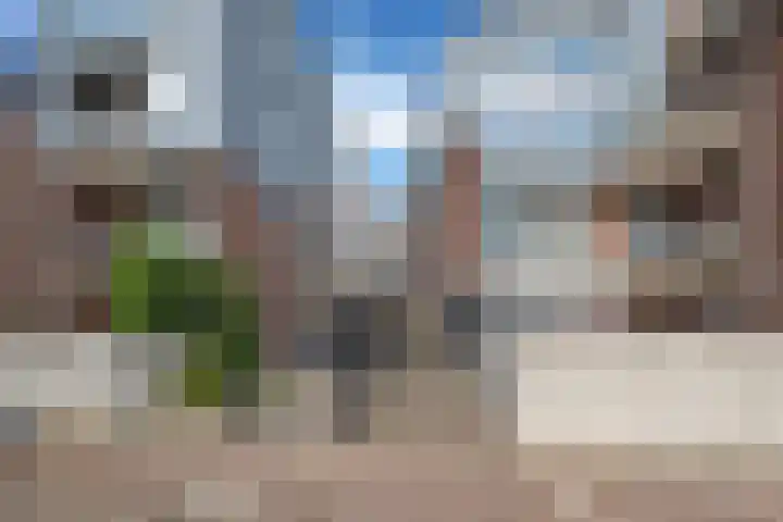 Franciscusberg 56 Bergen op Zoom thumbnail 33