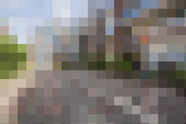 Franciscusberg 58 Bergen op Zoom thumbnail 12