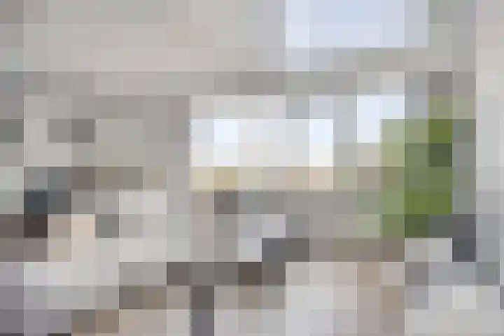 Franciscusberg 68 Bergen op Zoom thumbnail 13