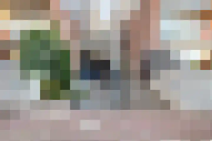 Franciscusberg 68 Bergen op Zoom thumbnail 31