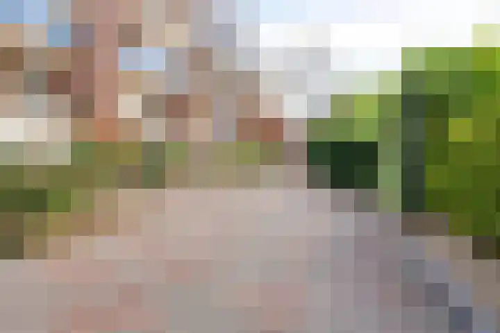 Franciscusberg 68 Bergen op Zoom thumbnail 40