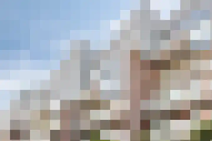 Franciscusberg 68 Bergen op Zoom thumbnail 44