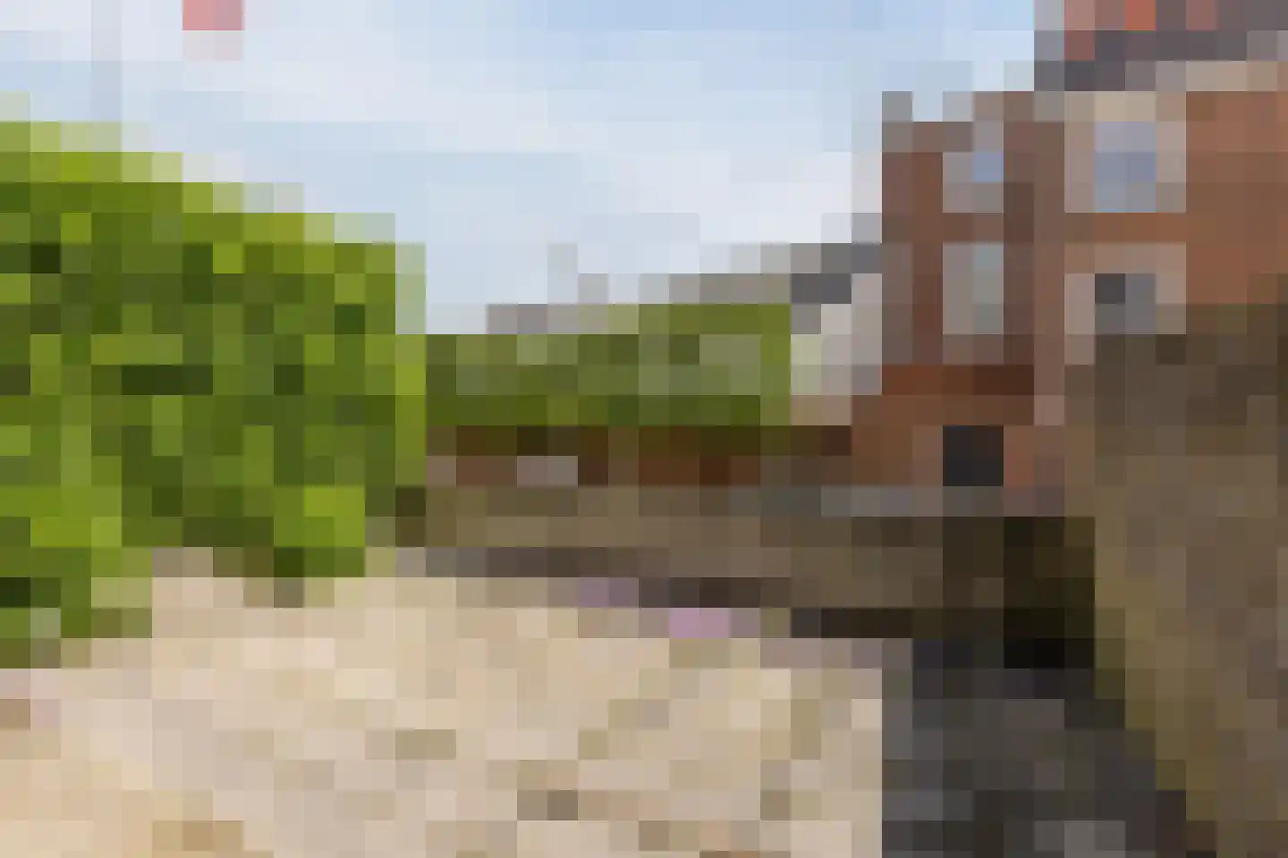 Franciscusberg 7 Bergen op Zoom thumbnail 24