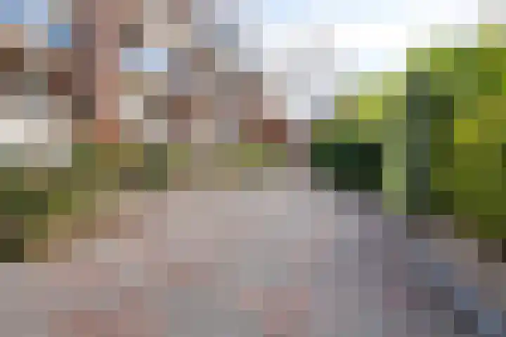 Franciscusberg 76 Bergen op Zoom thumbnail 33