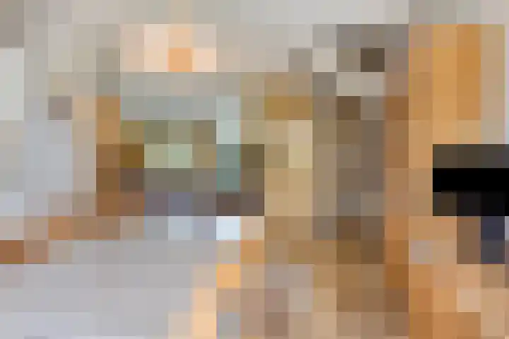 Franciscushof 129 Vianen thumbnail 13