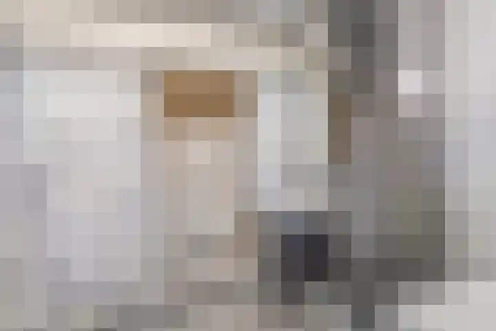 Franciscushof 129 Vianen thumbnail 24