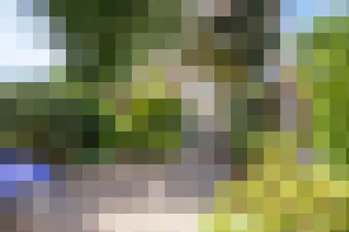 Franciscushof 129 Vianen thumbnail 29