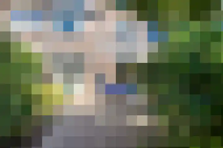 Franciscushof 129 Vianen thumbnail 30