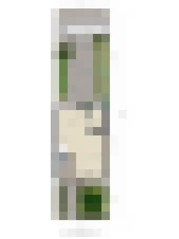 Franciscushof 129 Vianen thumbnail 37