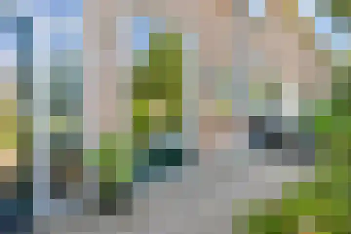 Franciscushof 129 Vianen thumbnail 4
