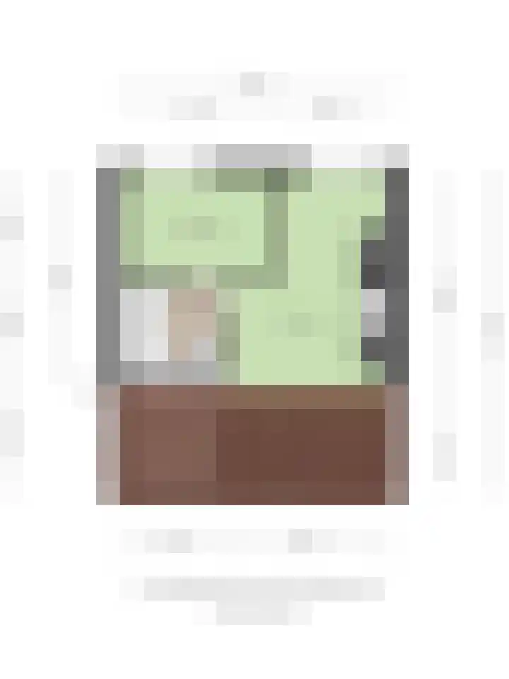 Franciscushof 129 Vianen thumbnail 40
