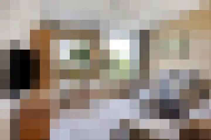 Franciscushof 129 Vianen thumbnail 9