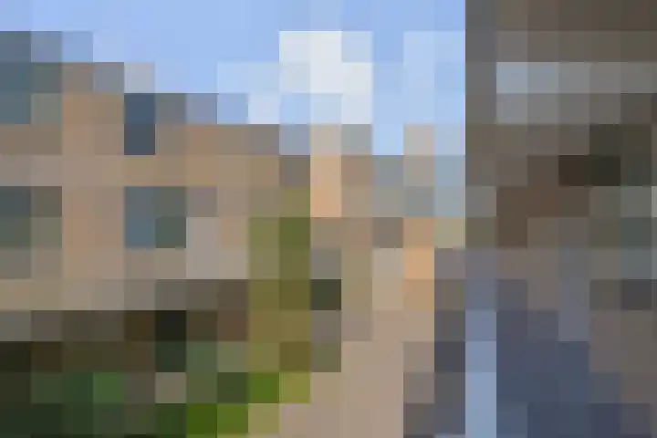 Franciscushof 13 Bodegraven thumbnail 15