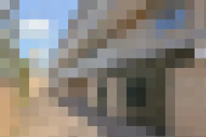 Franciscushof 13 Bodegraven thumbnail 20