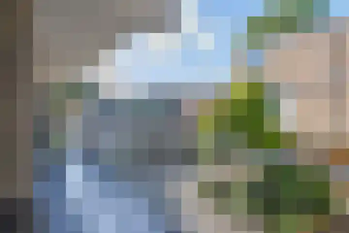 Franciscushof 13 Bodegraven thumbnail 23