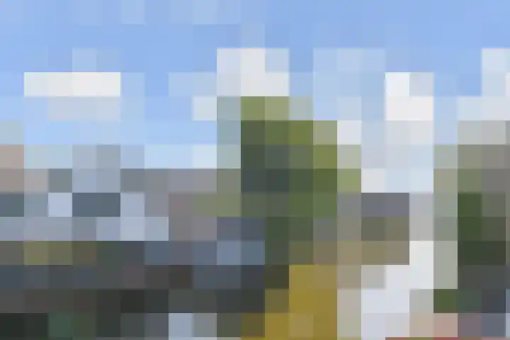 Franciscushof 13 Bodegraven thumbnail 25