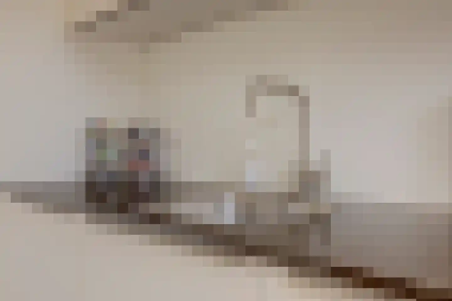 Franciscushof 150 Vianen thumbnail 19