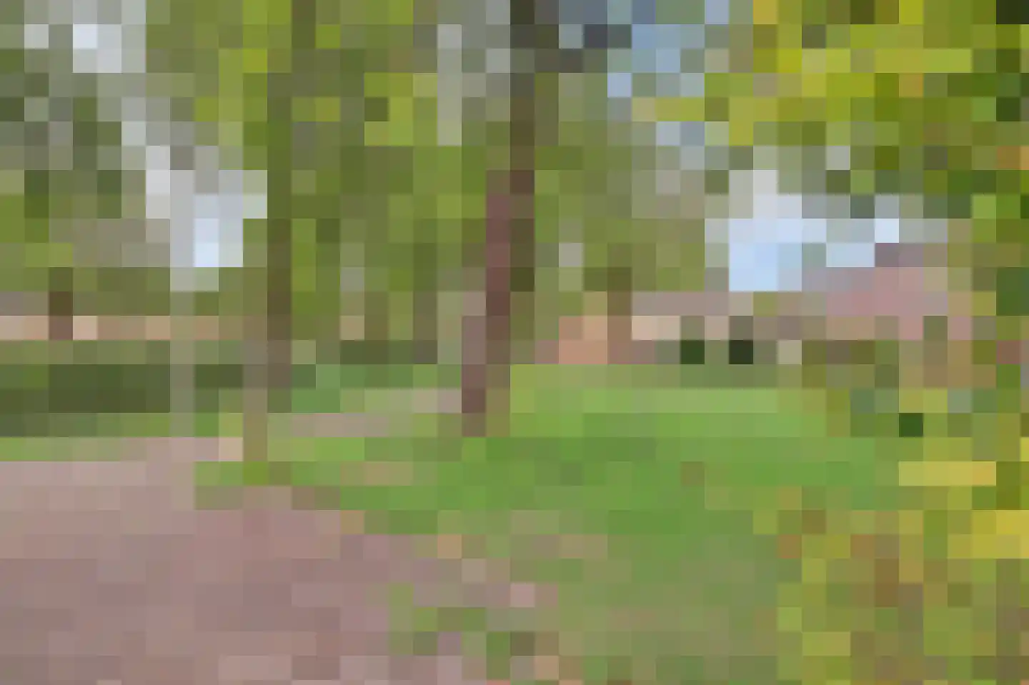 Franciscushof 150 Vianen thumbnail 46