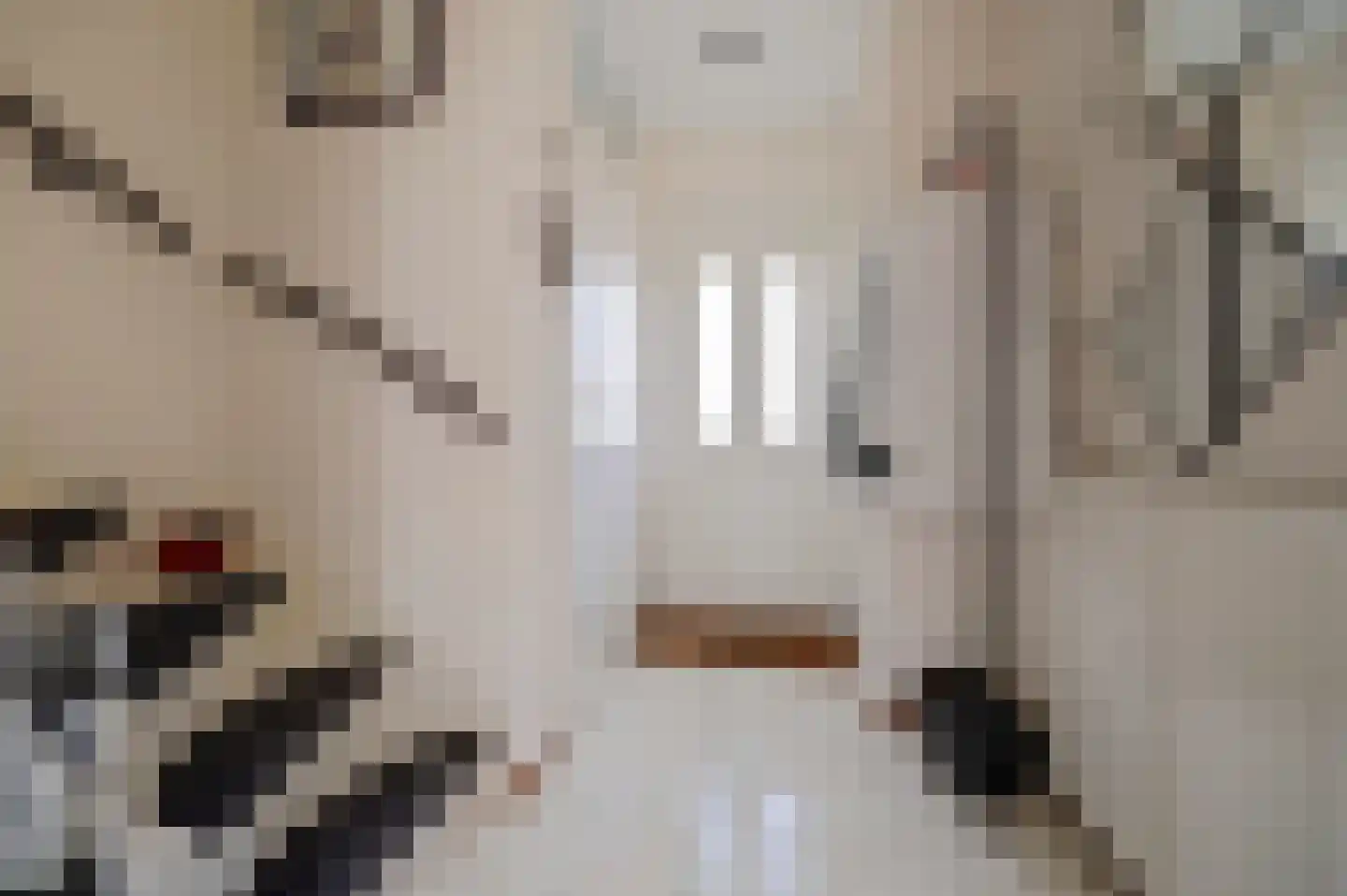 Franciscushof 150 Vianen thumbnail 7