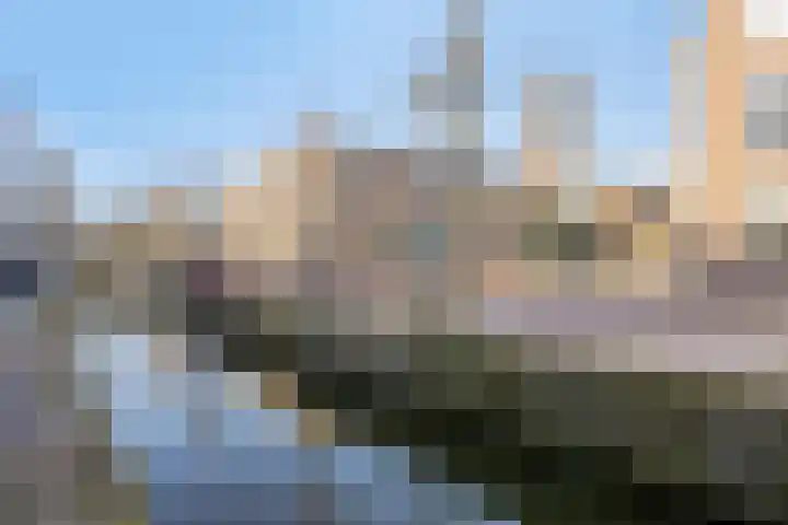 Franciscushof 17 Franeker thumbnail 20
