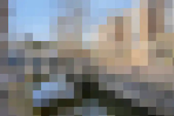 Franciscushof 17 Franeker thumbnail 21
