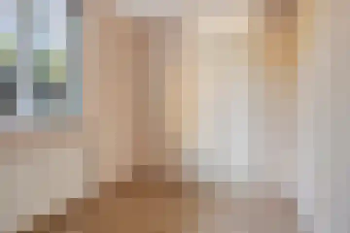 Franciscushof 17 Franeker thumbnail 8