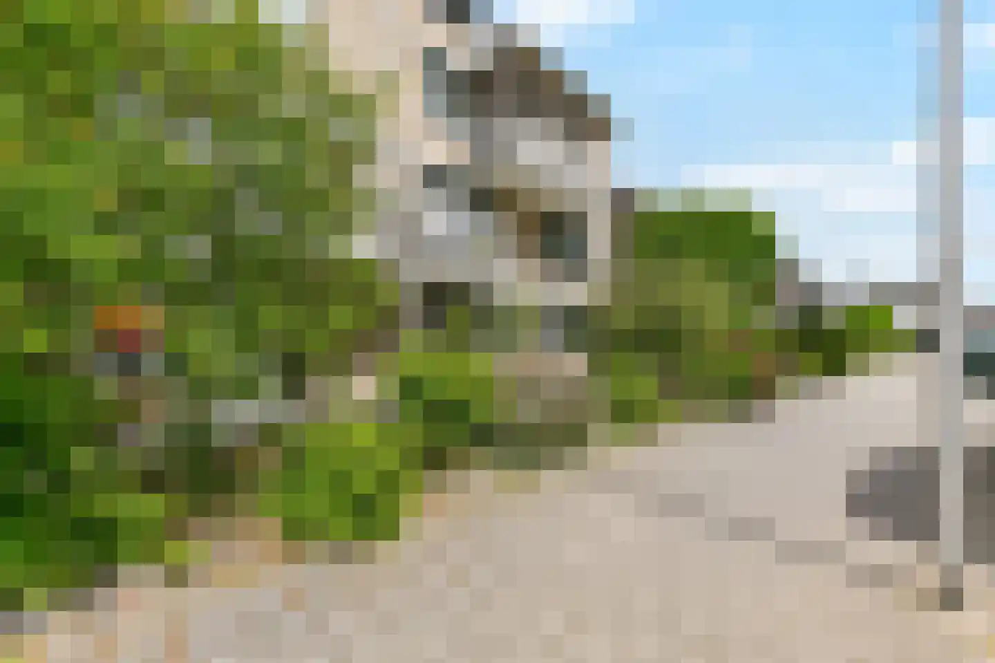 Franciscushof 20 Bodegraven thumbnail 27